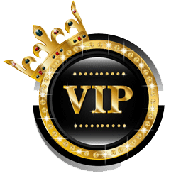 VIP Escorts Chandigarh